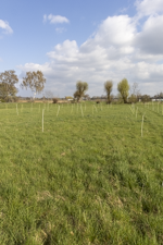 BugNet experimental grassland site near Bonn
